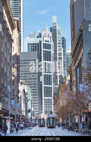 Avec le Queen Victoria Building (QVB) sur la droite, des tramways légers descendent George Street à Sydney, en Australie Banque D'Images