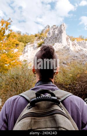 Vue arrière du touriste de récolte avec mohawk dans une tenue décontractée avec sac à dos regardant la montagne voyageant dans le parc d'automne Banque D'Images