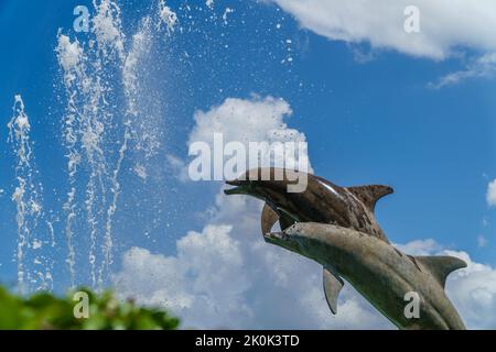Sarasota, FL, US-26 novembre 2021 : statue emblématique de marsouins également connue sous le nom de dauphins dans Bayfront, un parc public. Banque D'Images