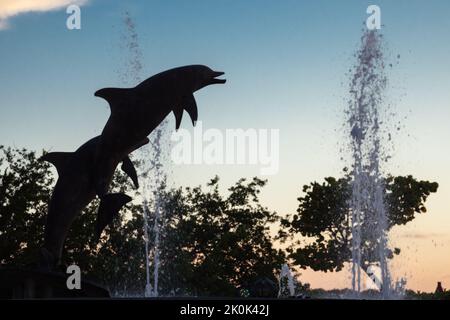 Sarasota, FL, US-26 novembre 2021 : statue emblématique de marsouins également connue sous le nom de dauphins dans Bayfront, un parc public. Banque D'Images