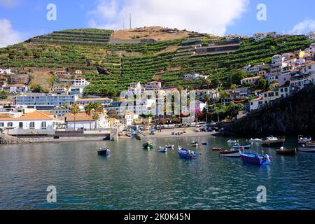 Camara do Lobos, front de mer et port, Madère, Portugal Banque D'Images