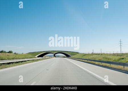 Green Bridges pour les animaux sauvages pour traverser les autoroutes. République Tchèque D1 route Banque D'Images