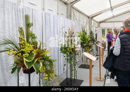 RHS Garden Wisley Flower Show septembre 2022, un événement horticole annuel à Surrey, Angleterre, Royaume-Uni. Compositions florales dans un chapiteau d'art floral. Banque D'Images