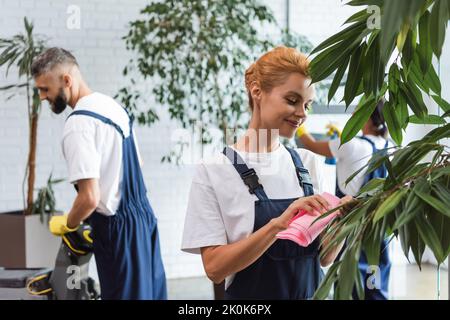 femme heureuse en vêtements de travail essuyant une plante verte près de collègues multiethniques lavant le hall de bureau, image de stock Banque D'Images