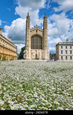 La grande entrée en pierre de la chapelle du roi de style gothique située devant un pré de fleurs sauvages, plantée pour tester la conservation de la nature. Clare Banque D'Images