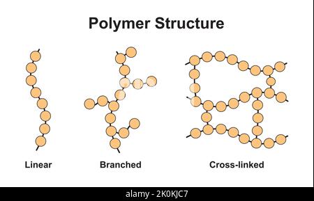 Conception scientifique de la classification de la structure des polymères. Polymère et ses types. Symboles colorés. Illustration vectorielle. Illustration de Vecteur