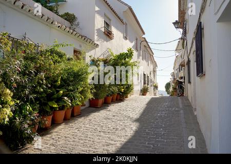 Rues étroites de village blanc lavé de Mijas pueblo avec des plantes, Andalousie, province de Malaga, Costa del sol, Espagne Banque D'Images