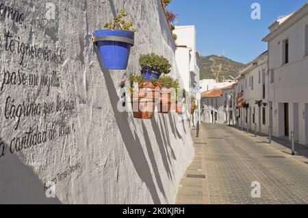 Pots de fleurs décorant des rues étroites de blanc lavé village de Mijas pueblo, Andalousie, province de Malaga, Costa del sol, Espagne Banque D'Images