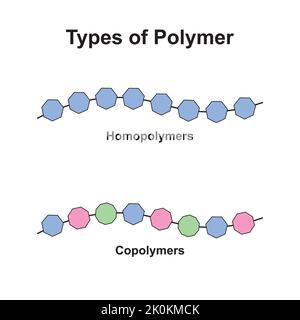 Conception scientifique de types de structures polymères. Homopolymères et copolymères. Symboles colorés. Illustration vectorielle. Illustration de Vecteur