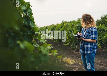 Femme paysanne caucasienne debout dans les vignobles, regardant la récolte, prenant des notes pour planifier le projet sur l'agriculture dans les lieux ruraux. Technologie Banque D'Images