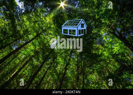 La canopée de cette forêt a un trou en forme de bâtiment résidentiel vert Banque D'Images