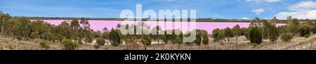 Photo panoramique du lac salé rose près du parc national du petit désert de l'Australie méridionale pendant la journée Banque D'Images