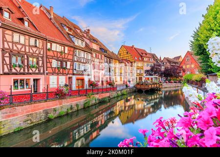 Colmar, Alsace, France. Petite Venise, canal d'eau et maisons traditionnelles à colombages. Banque D'Images