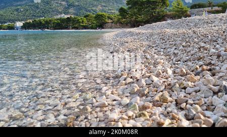 Photo macro du galet côtier en Dalmatie, Croatie, Europe. Vue de dessous. Banque D'Images