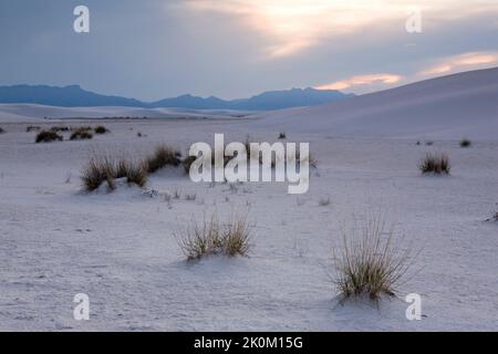 Les champs de dunes de gypse de White Sands National Monument dans le Nouveau Mexique, soutenu par les montagnes San Andrés Banque D'Images