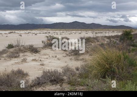 Salines de l'ouest du Texas, le long de la route US 62/180 juste à l'ouest de Guadalupe Mountains National Park Banque D'Images