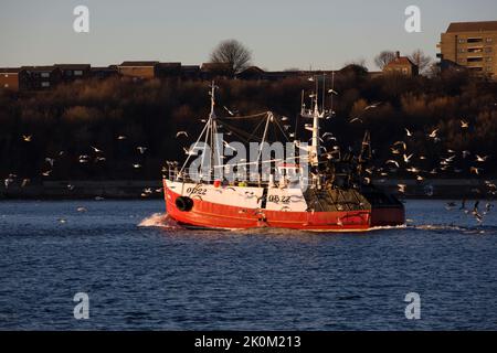 Un chalutier retourne à North Shields Docks via la rivière Tyne Banque D'Images