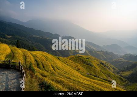 Longji Rice terrasses Chine vue aérienne lever du soleil Banque D'Images