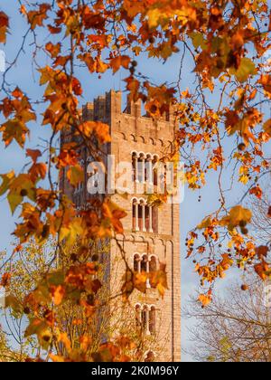 Automne et feuillage à Lucques. Clocher médiéval de l'église Saint-Fredianus au milieu de feuilles sycomore automnales rouges, orange et brunes Banque D'Images