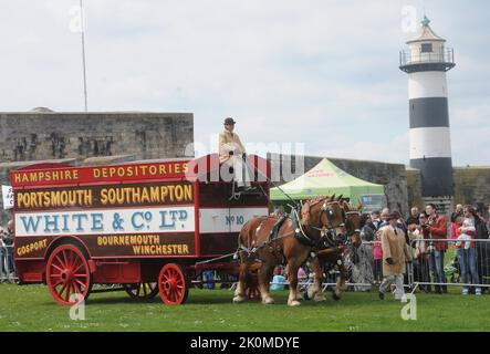 CHEVAUX SHIRE PRENANT PART AU SPECTACLE DE CHEVAUX LOURDS AU CHÂTEAU DE SOUTHSEA , HANTS PIC MIKE WALKER, MIKE WALKER PHOTOS,2014 Banque D'Images