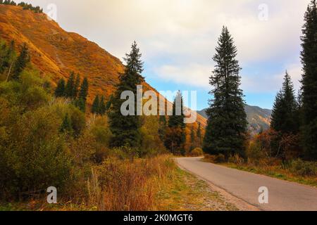 route de l'automobile en automne dans les montagnes. paysage de montagne d'automne Banque D'Images