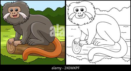 Page de coloriage d'animaux Tamarin Illustration colorée Illustration de Vecteur