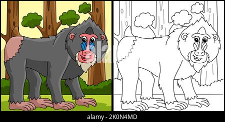 Mandrill page de coloriage animal Illustration colorée Illustration de Vecteur