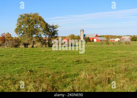 Ferme américaine moderne avec des bâtiments rouges et un silo au coucher du soleil en automne. Une forêt au sommet du feuillage d'automne est en arrière-plan. Banque D'Images