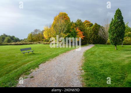 Sentier de randonnée en gravier déserté bordé de bancs et de tables de pique-nique menant à travers les bois dans un parc sous les nuages de tempête en automne Banque D'Images