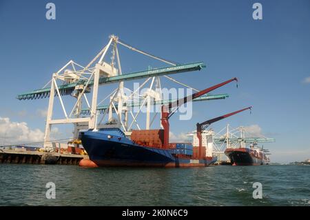 Miami, États-Unis - 11 septembre 2011 : le port de Miami charge et décharge des milliers de conteneurs par an. C'est l'un des ports les plus fréquentés de la côte est Banque D'Images