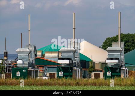Usine de biogaz, centrales thermiques et électriques combinées, pour la production d'énergie, stockage de gaz en forme de dôme, Rietberg, NRW, Allemagne Banque D'Images
