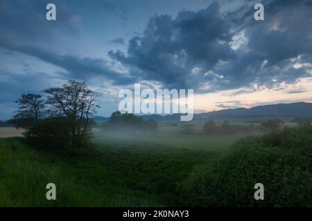 Brouillard dans les plaines de la rivière Turiec, Slovaquie. Banque D'Images