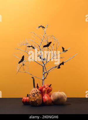 Composition d'automne faite de silhouettes de chauves-souris sur l'arbre argenté et de diverses citrouilles. Concept surréaliste Halloween créatif Banque D'Images