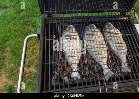 Processus de cuisson du poisson dorado sur un barbecue au charbon de bois dans l'arrière-cour Banque D'Images