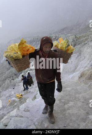 Banyuwangi, Indonésie - 13 octobre 2019 : activité du mineur de soufre au cratère d'Ijen à Banyuwangi, Java-est, Indonésie. Banque D'Images