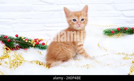 Ginger Tabby ludique curieux chaton de noël se trouve à côté de décorations de noël, jouets. Concept de Noël et de nouvel an Banque D'Images