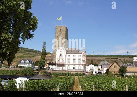 Vue sur le château de Boosenburg, un donjon roman. Vignes dans la ville allemande de Rüdesheim. Allemagne, été, septembre. Banque D'Images