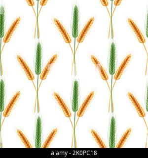 Illustration réaliste de plantes de semences, agriculture biologique. Modèle sans couture des épillets mûrs de blé avec des grains, des épis et des tiges. Illustration de Vecteur