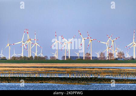 Ferme éolienne derrière la digue, Friedrichskoog dans la soirée sur la côte de la mer du Nord Banque D'Images