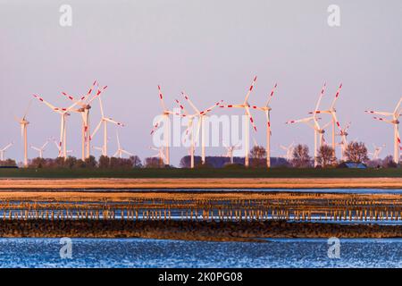 Ferme éolienne derrière la digue, Friedrichskoog dans la soirée sur la côte de la mer du Nord Banque D'Images