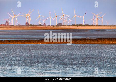 Ferme éolienne derrière la digue, Friedrichskoog dans la soirée sur la côte de la mer du Nord Banque D'Images