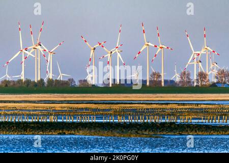 Ferme éolienne derrière la digue, Friedrichskoog dans la soirée sur la côte de la mer du Nord Banque D'Images