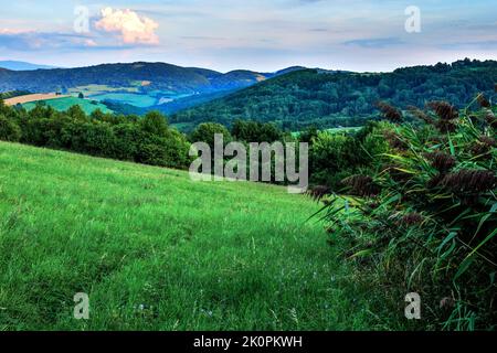 Paysage rural d'été avec prairie et forêt au coucher du soleil. Herbe au premier plan. Végétation verte fraîche après la pluie. Nuages de couleur.Horna Suca, Slovaquie Banque D'Images