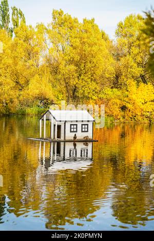 Paysage d'automne doré avec étang et maison flottante de canard dans le parc Banque D'Images