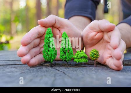 Mains protégeant une forêt de jouets placée sur une souche d'arbre Banque D'Images