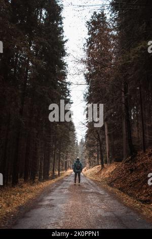 En marchant dans la forêt noire d'épinette le long de l'ancienne allée, l'homme regarde et réalise combien il est petit et éphémère comparé à ce désert. Banque D'Images