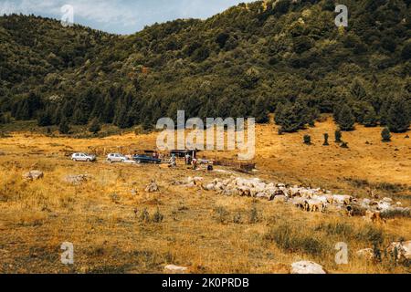 Paysage montagneux campagne.sheepfold sur la prairie dans les montagnes Carpates. Banque D'Images