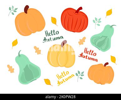 Ensemble de citrouilles de différentes couleurs. Éléments de Thanksgiving et Halloween pour le design. Vecteur, Illustration. Illustration de Vecteur