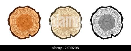 Troncs d'arbre ronds de différentes couleurs, tranches de pin scié ou de chêne, bois d'œuvre. Bois scié, bois. Texture en bois brun avec anneaux d'arbre. Dessiné à la main Illustration de Vecteur