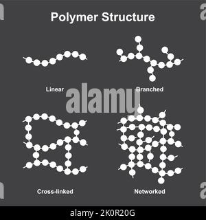 Conception scientifique de la classification de la structure des polymères. Polymère et ses types. Symboles colorés. Illustration vectorielle. Illustration de Vecteur